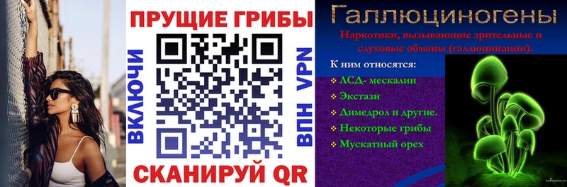Купить  Лукоянов  Псилоцибиновые грибы Cubensis 